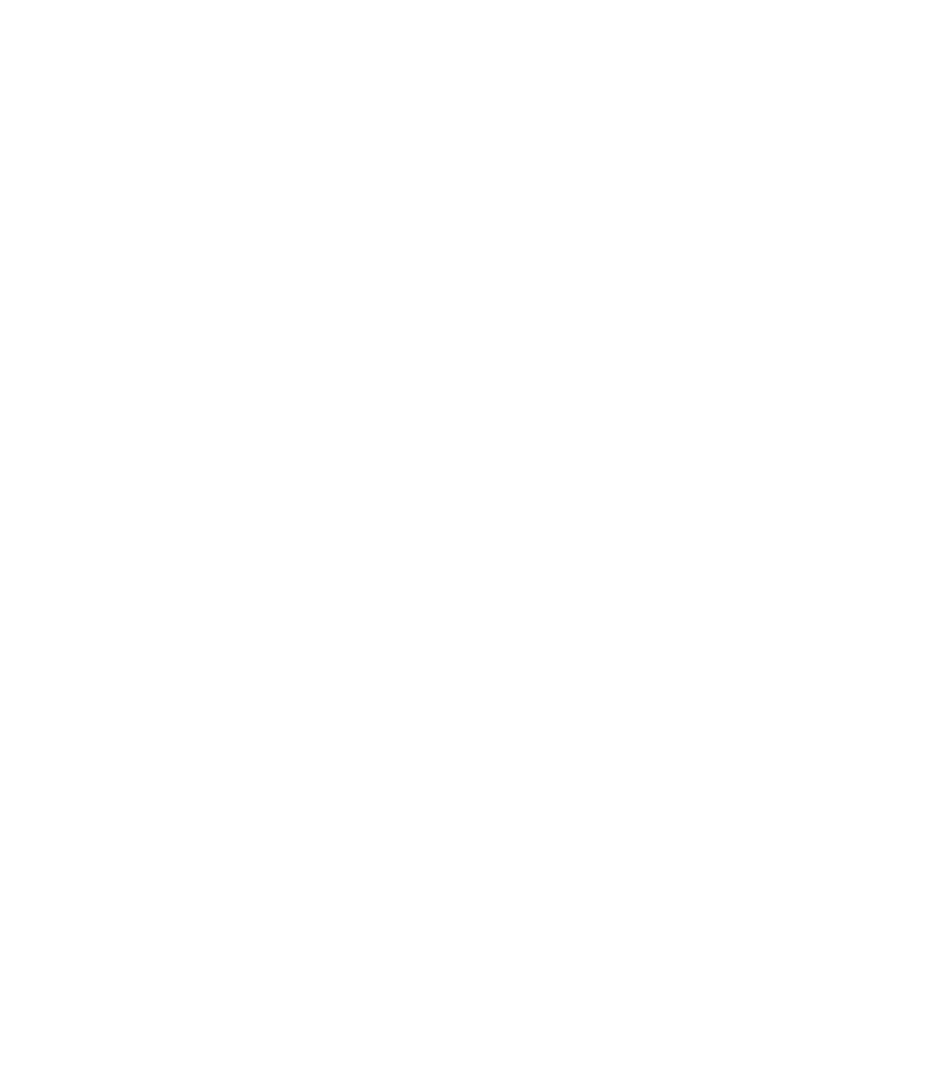 Balmain Village Health Logo